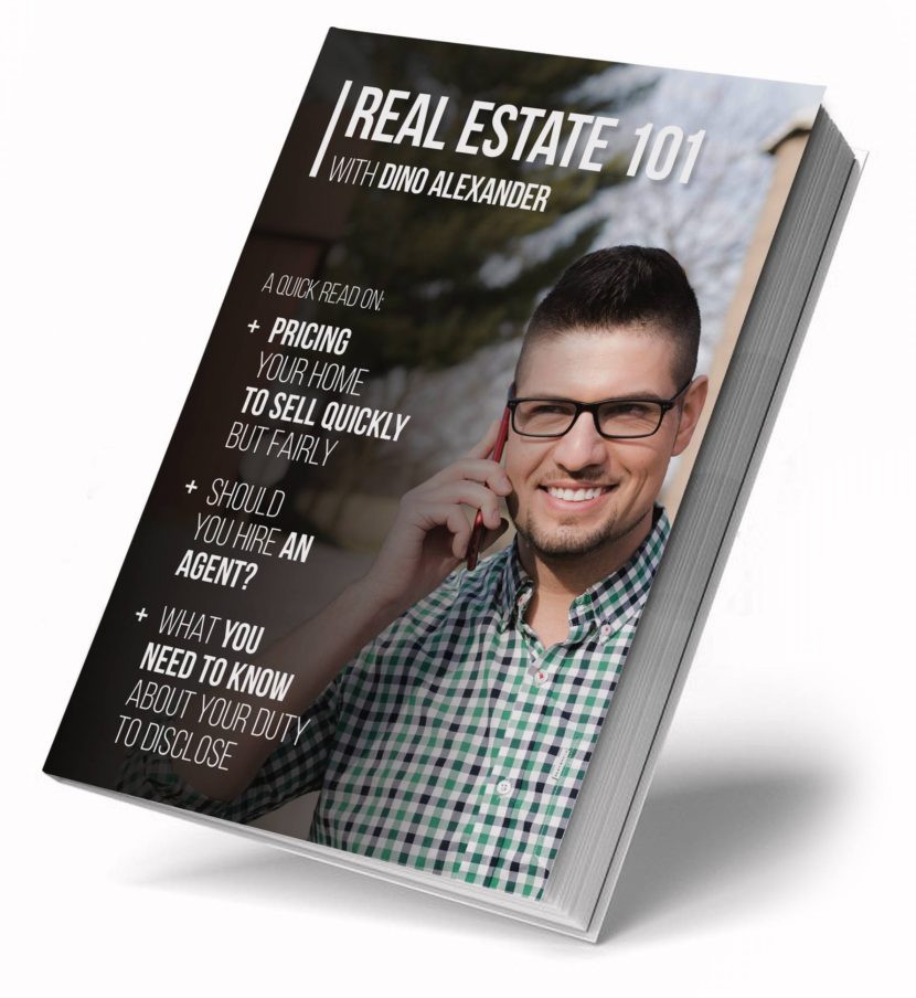 Real Estate 101 eBook by Dino Alexander